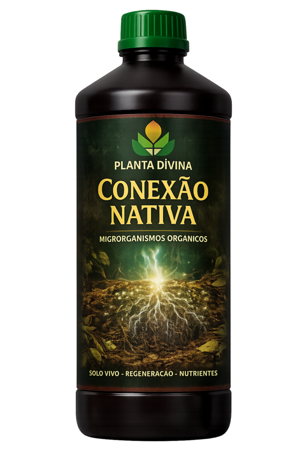 Conexão Nativa