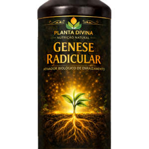 Gênese Radicular